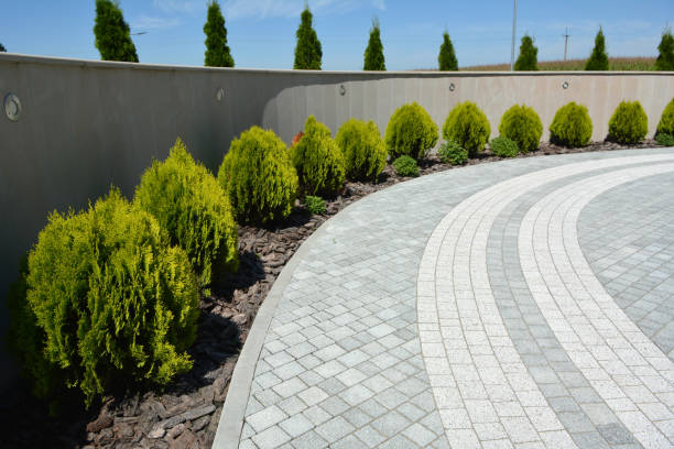 Best Cobblestone Driveway Pavers  in Carencro, LA